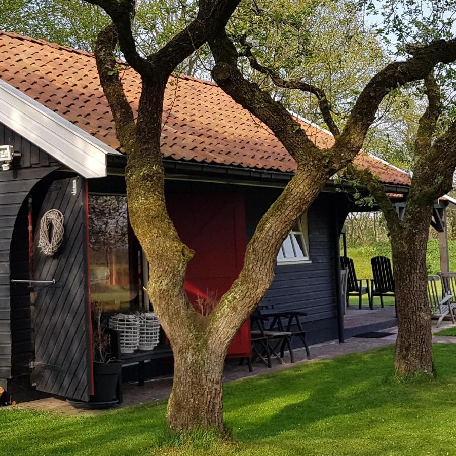Aljemint Bed and Breakfast Oentsjerk Buitenkant foto